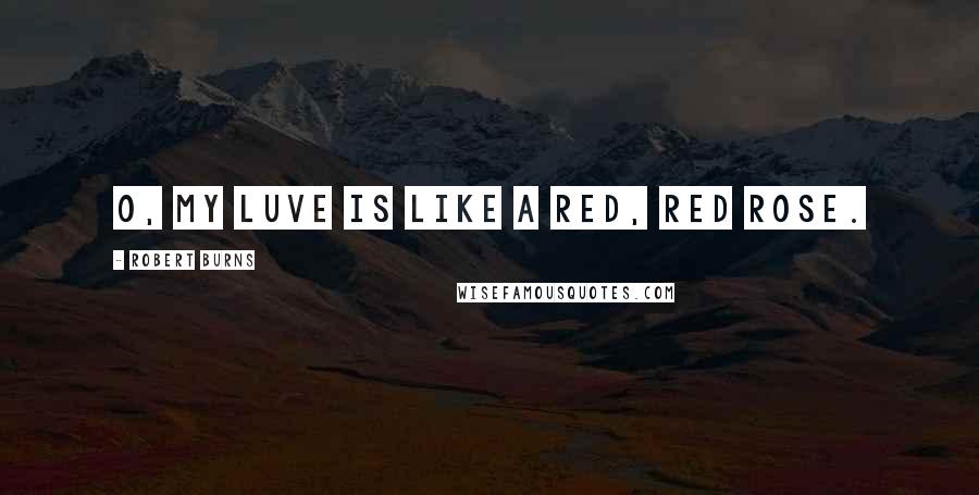 Robert Burns Quotes: O, my luve is like a red, red rose.