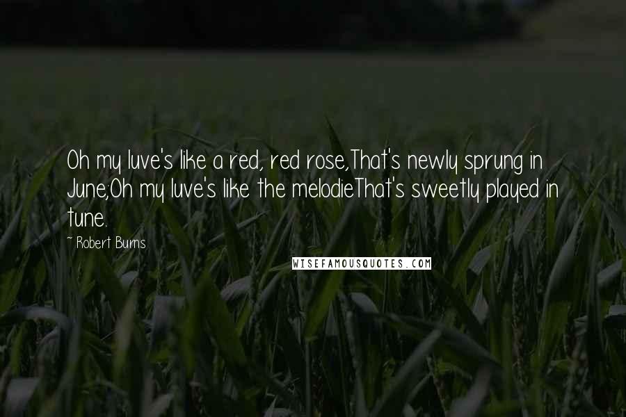 Robert Burns Quotes: Oh my luve's like a red, red rose,That's newly sprung in June;Oh my luve's like the melodieThat's sweetly played in tune.