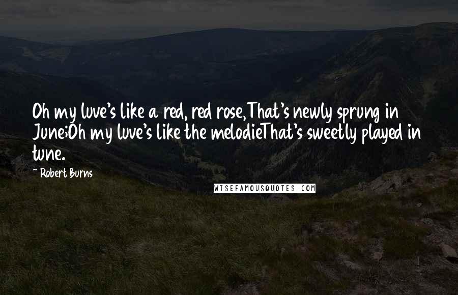 Robert Burns Quotes: Oh my luve's like a red, red rose,That's newly sprung in June;Oh my luve's like the melodieThat's sweetly played in tune.