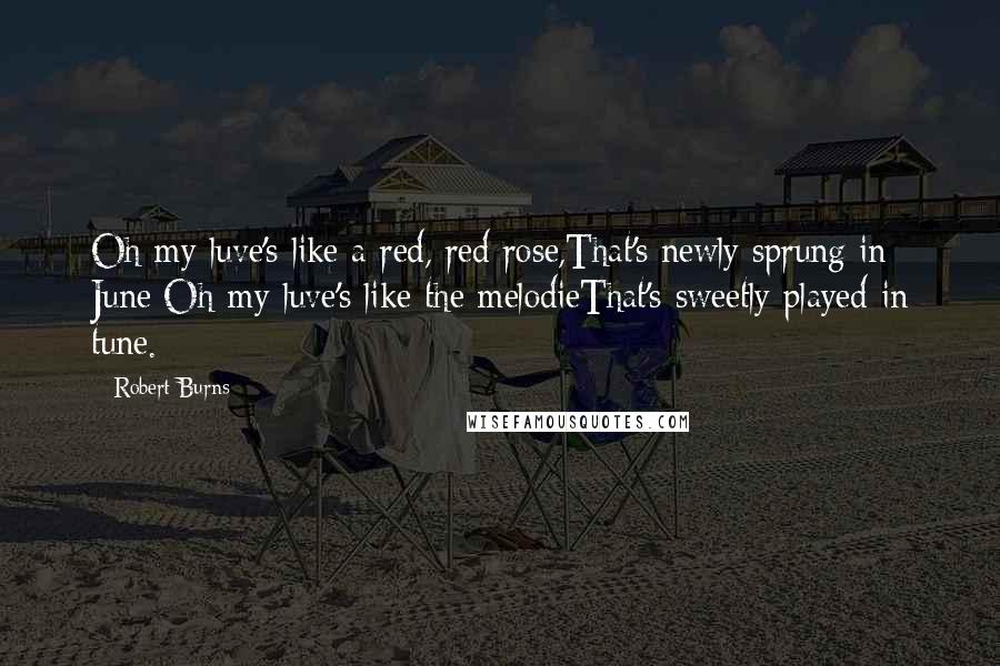 Robert Burns Quotes: Oh my luve's like a red, red rose,That's newly sprung in June;Oh my luve's like the melodieThat's sweetly played in tune.