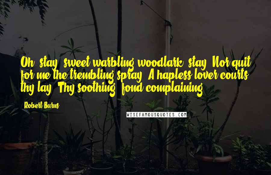 Robert Burns Quotes: Oh, stay, sweet warbling woodlark, stay, Nor quit for me the trembling spray, A hapless lover courts thy lay, Thy soothing, fond complaining.
