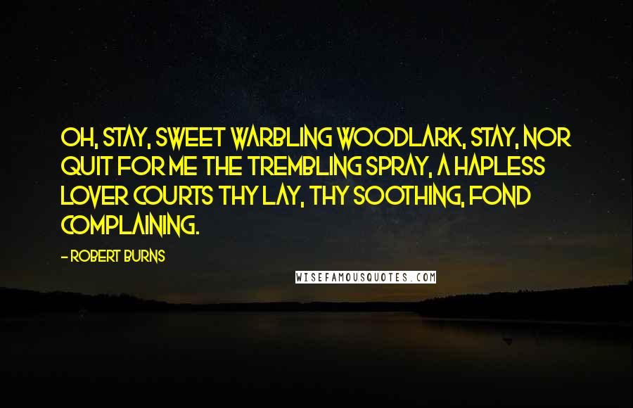 Robert Burns Quotes: Oh, stay, sweet warbling woodlark, stay, Nor quit for me the trembling spray, A hapless lover courts thy lay, Thy soothing, fond complaining.