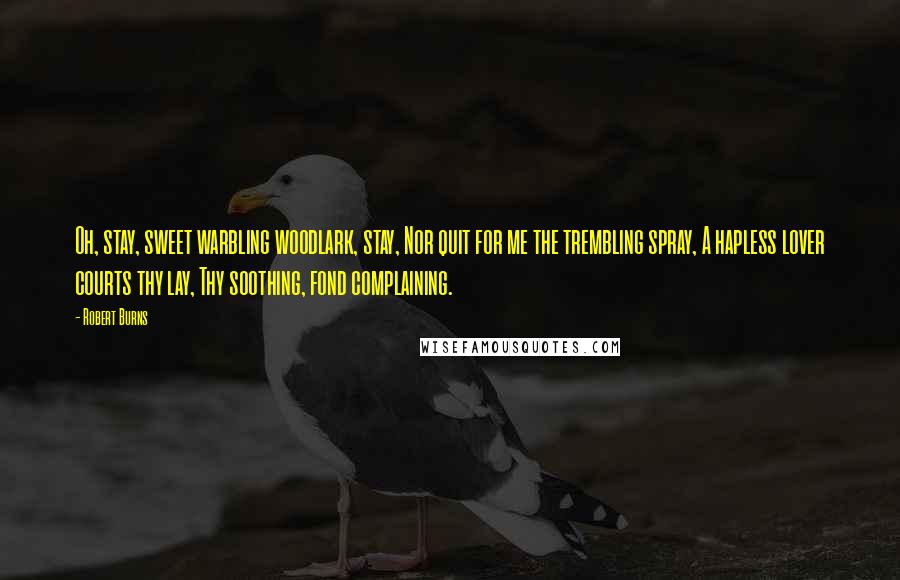 Robert Burns Quotes: Oh, stay, sweet warbling woodlark, stay, Nor quit for me the trembling spray, A hapless lover courts thy lay, Thy soothing, fond complaining.