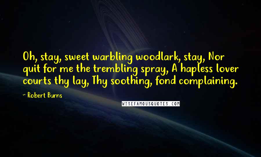 Robert Burns Quotes: Oh, stay, sweet warbling woodlark, stay, Nor quit for me the trembling spray, A hapless lover courts thy lay, Thy soothing, fond complaining.