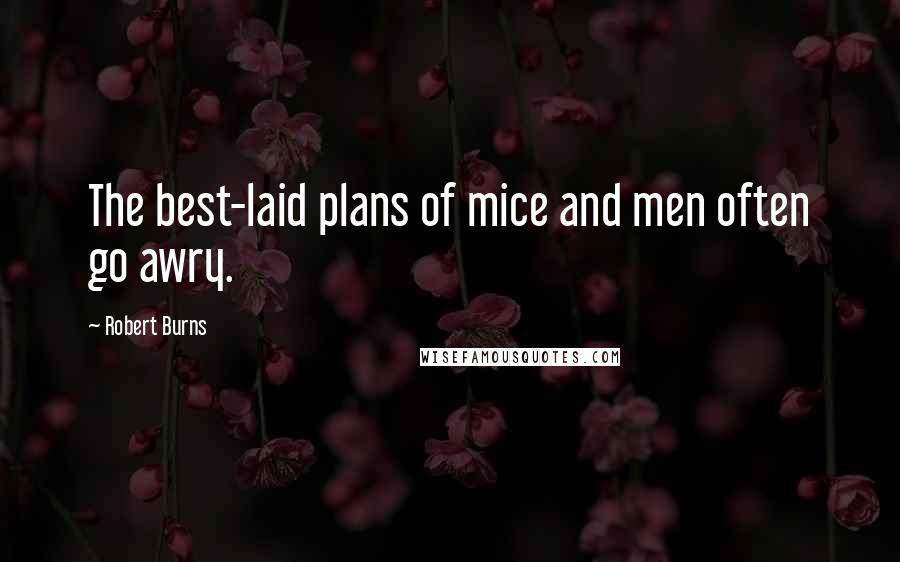 Robert Burns Quotes: The best-laid plans of mice and men often go awry.