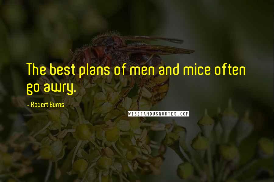 Robert Burns Quotes: The best plans of men and mice often go awry.