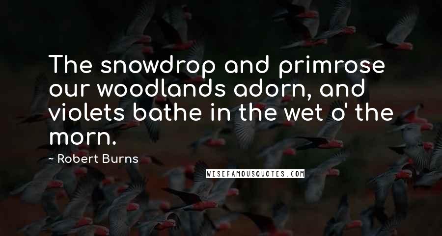 Robert Burns Quotes: The snowdrop and primrose our woodlands adorn, and violets bathe in the wet o' the morn.