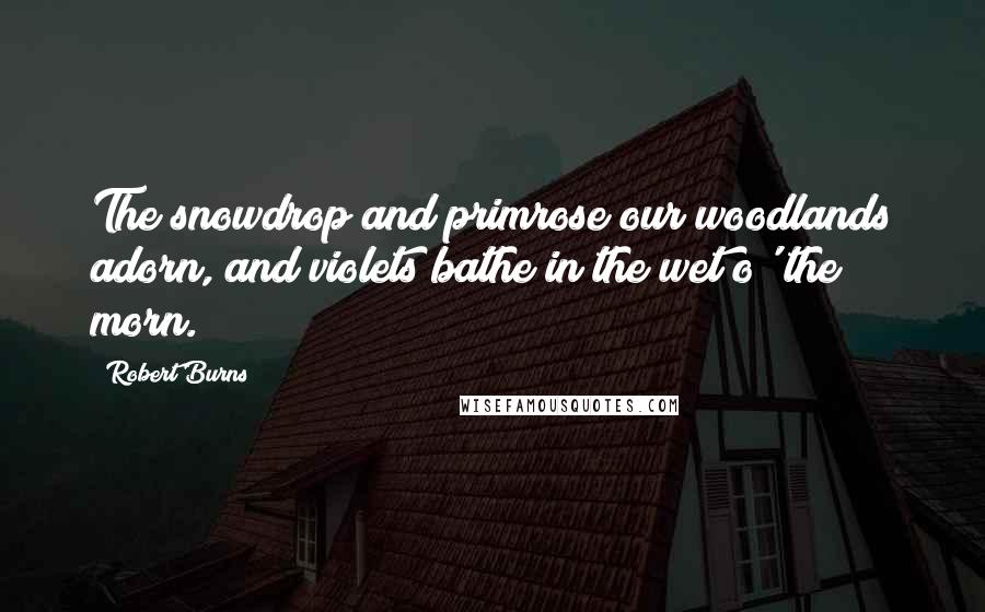 Robert Burns Quotes: The snowdrop and primrose our woodlands adorn, and violets bathe in the wet o' the morn.