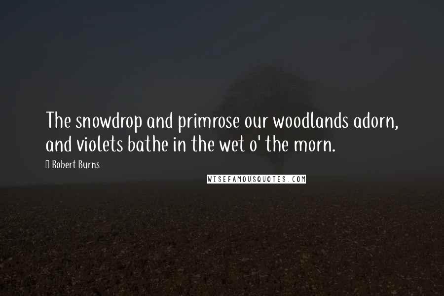 Robert Burns Quotes: The snowdrop and primrose our woodlands adorn, and violets bathe in the wet o' the morn.