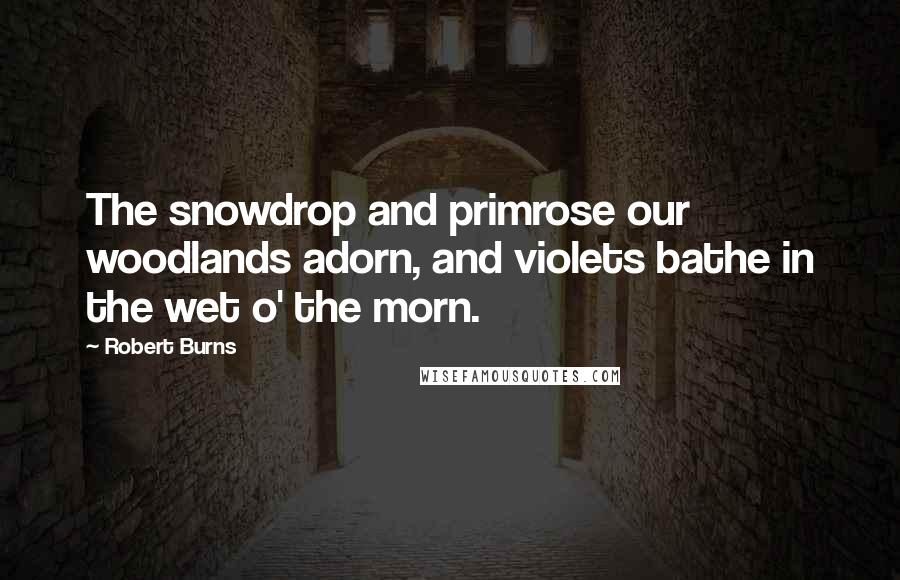 Robert Burns Quotes: The snowdrop and primrose our woodlands adorn, and violets bathe in the wet o' the morn.
