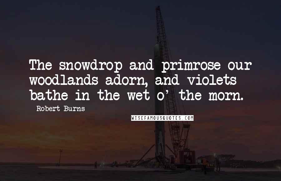 Robert Burns Quotes: The snowdrop and primrose our woodlands adorn, and violets bathe in the wet o' the morn.