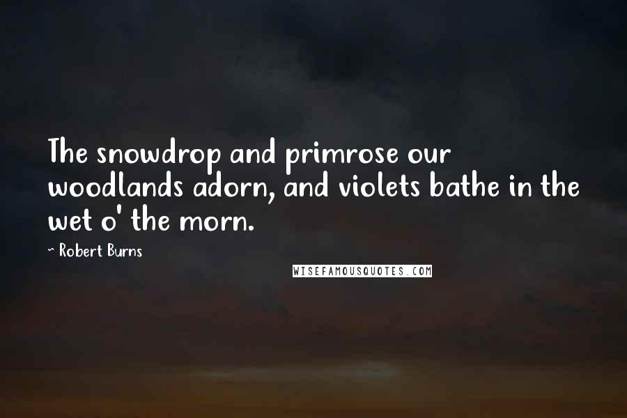 Robert Burns Quotes: The snowdrop and primrose our woodlands adorn, and violets bathe in the wet o' the morn.