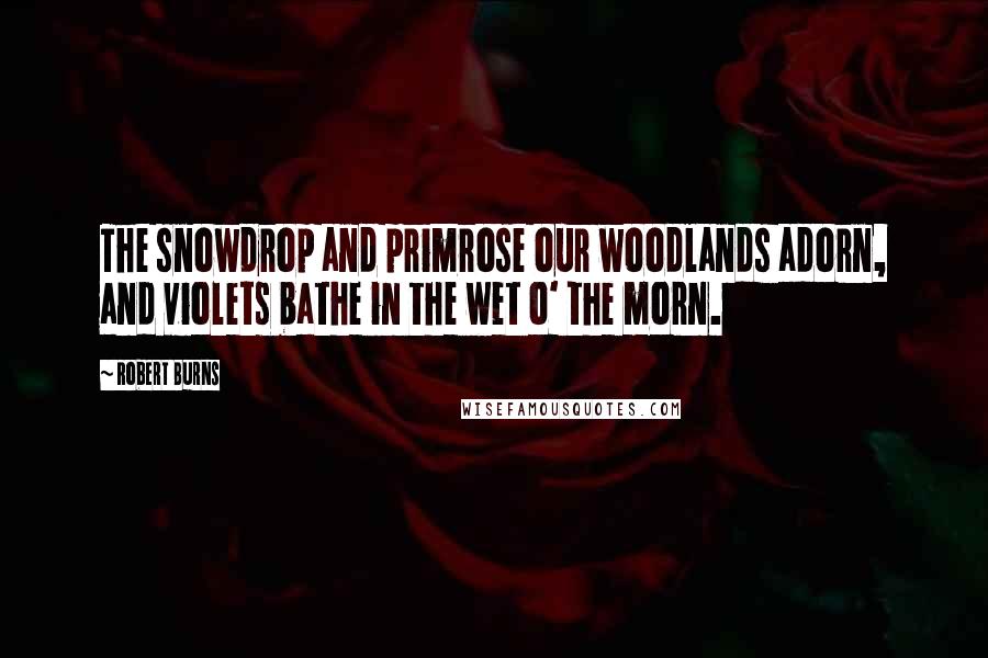 Robert Burns Quotes: The snowdrop and primrose our woodlands adorn, and violets bathe in the wet o' the morn.