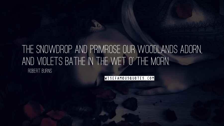 Robert Burns Quotes: The snowdrop and primrose our woodlands adorn, and violets bathe in the wet o' the morn.