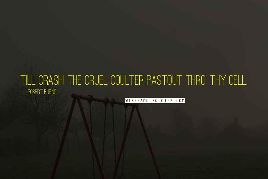 Robert Burns Quotes: Till crash! the cruel coulter pastOut thro' thy cell.