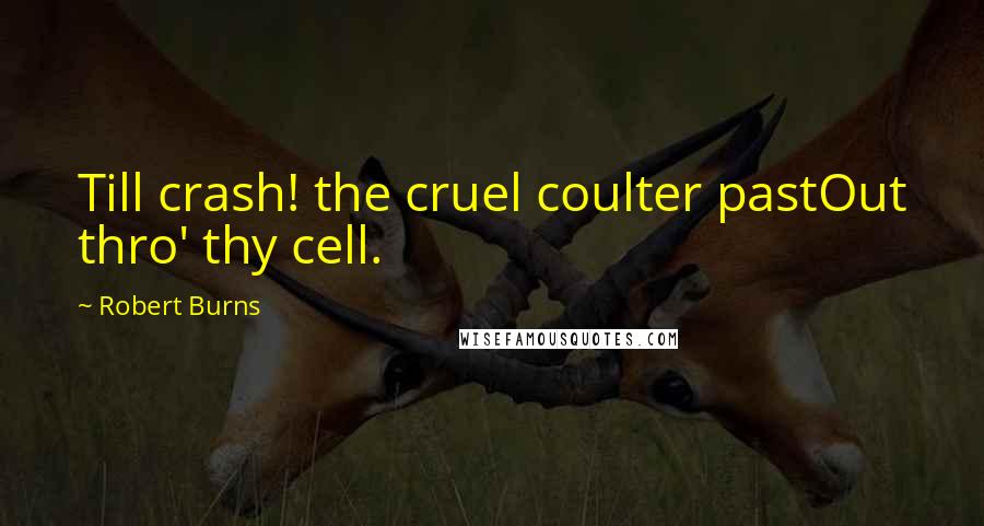 Robert Burns Quotes: Till crash! the cruel coulter pastOut thro' thy cell.