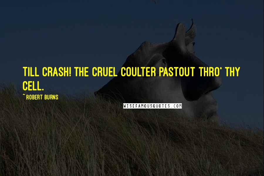 Robert Burns Quotes: Till crash! the cruel coulter pastOut thro' thy cell.