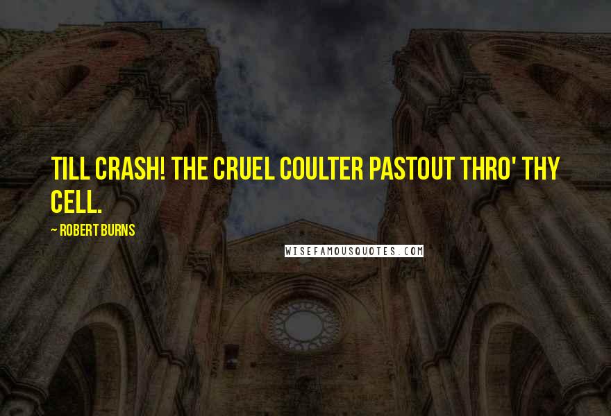 Robert Burns Quotes: Till crash! the cruel coulter pastOut thro' thy cell.