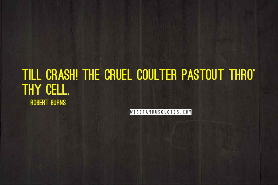 Robert Burns Quotes: Till crash! the cruel coulter pastOut thro' thy cell.