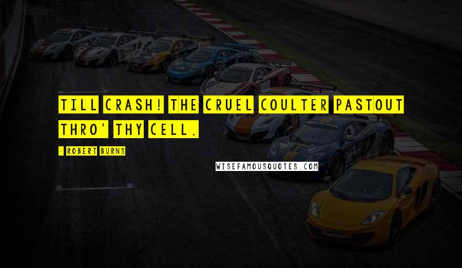 Robert Burns Quotes: Till crash! the cruel coulter pastOut thro' thy cell.