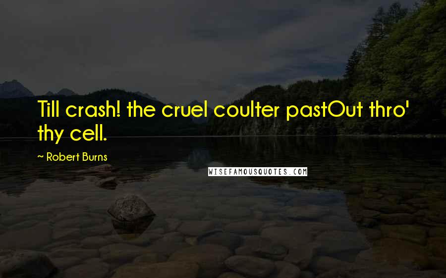 Robert Burns Quotes: Till crash! the cruel coulter pastOut thro' thy cell.