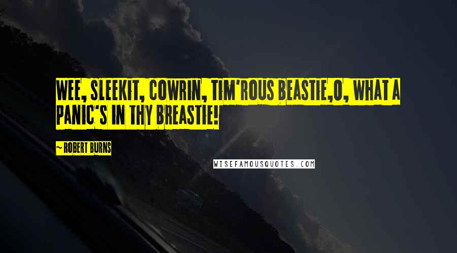 Robert Burns Quotes: Wee, sleekit, cowrin, tim'rous beastie,O, what a panic's in thy breastie!