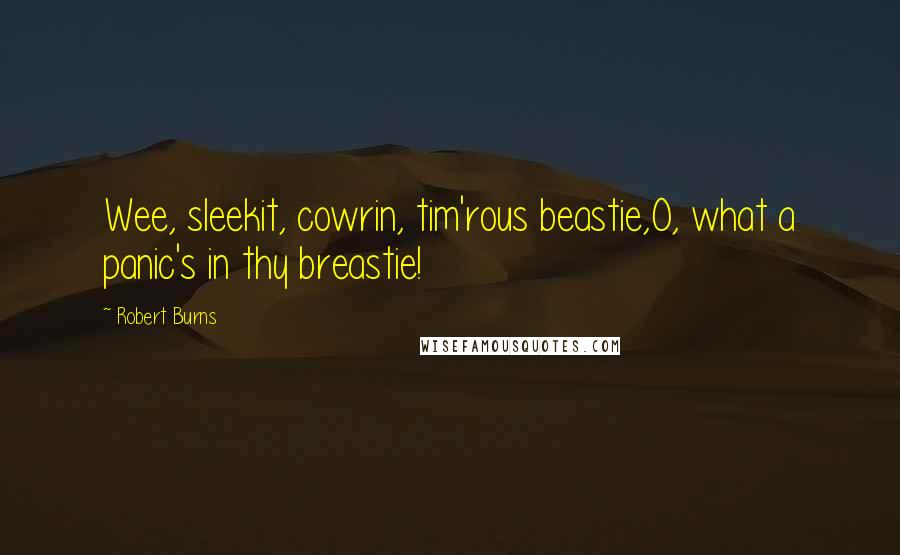 Robert Burns Quotes: Wee, sleekit, cowrin, tim'rous beastie,O, what a panic's in thy breastie!