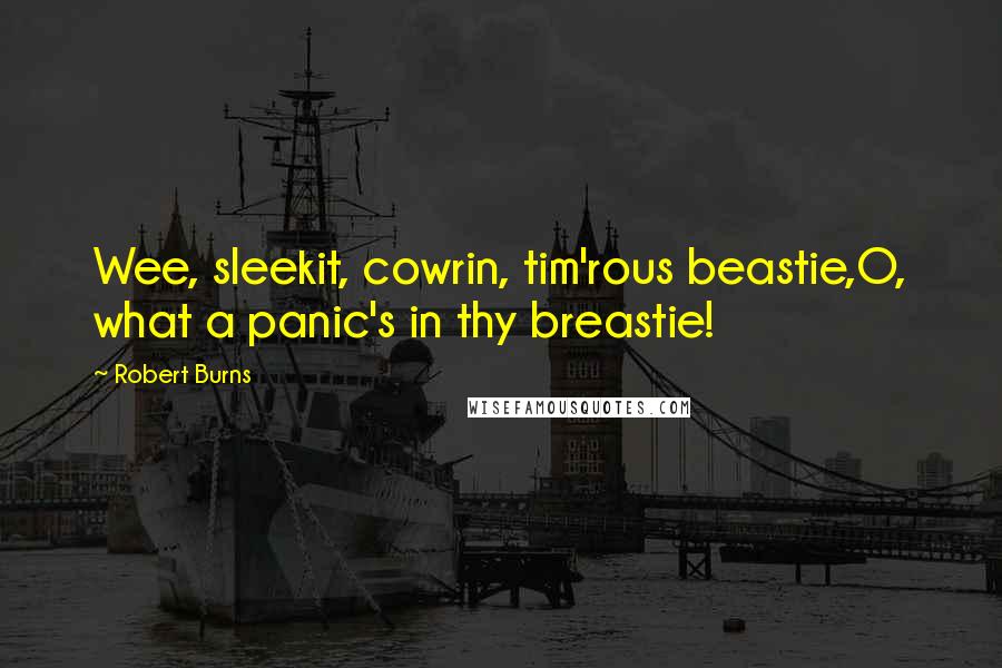 Robert Burns Quotes: Wee, sleekit, cowrin, tim'rous beastie,O, what a panic's in thy breastie!
