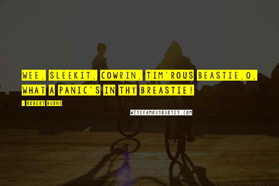 Robert Burns Quotes: Wee, sleekit, cowrin, tim'rous beastie,O, what a panic's in thy breastie!