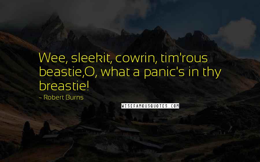 Robert Burns Quotes: Wee, sleekit, cowrin, tim'rous beastie,O, what a panic's in thy breastie!