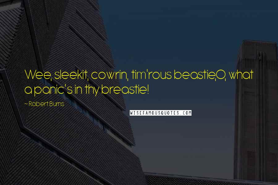 Robert Burns Quotes: Wee, sleekit, cowrin, tim'rous beastie,O, what a panic's in thy breastie!