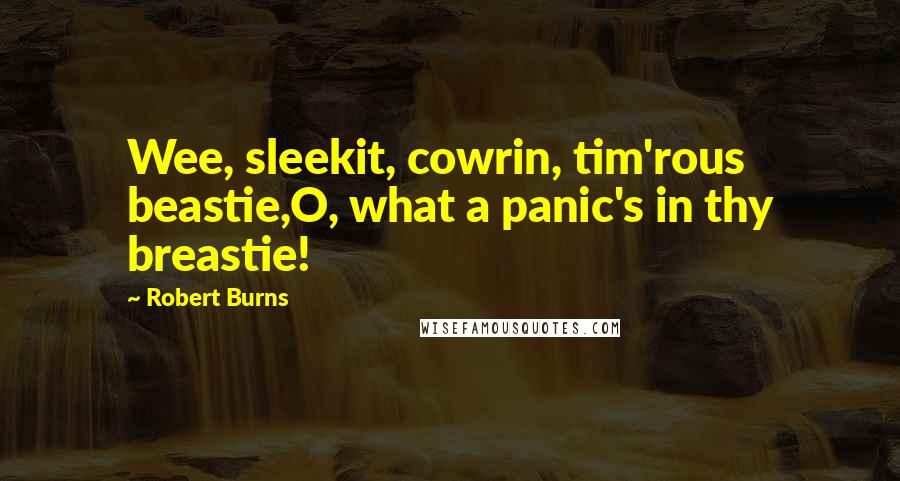 Robert Burns Quotes: Wee, sleekit, cowrin, tim'rous beastie,O, what a panic's in thy breastie!