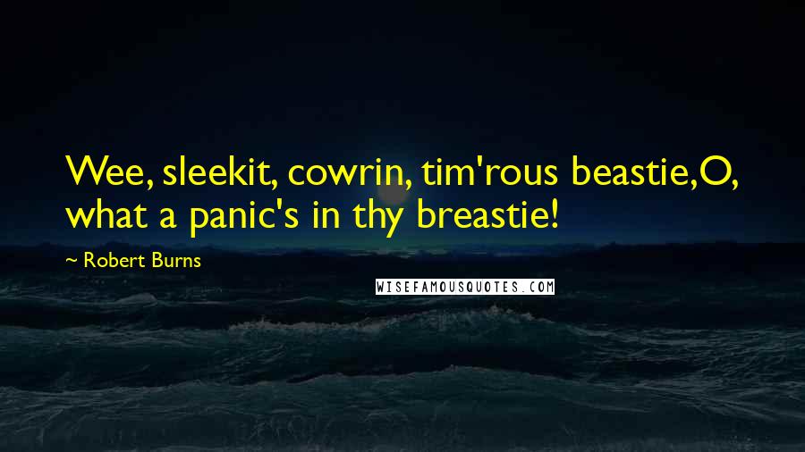 Robert Burns Quotes: Wee, sleekit, cowrin, tim'rous beastie,O, what a panic's in thy breastie!