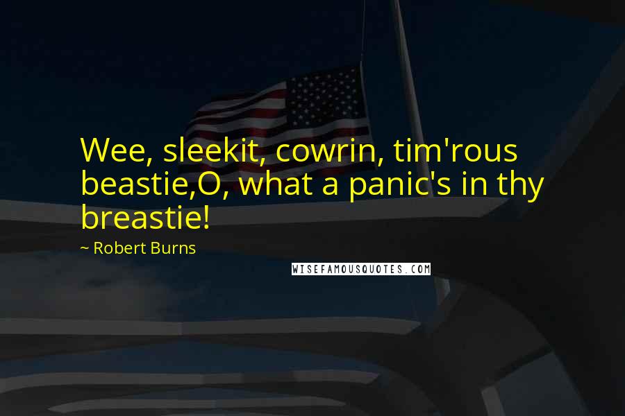 Robert Burns Quotes: Wee, sleekit, cowrin, tim'rous beastie,O, what a panic's in thy breastie!