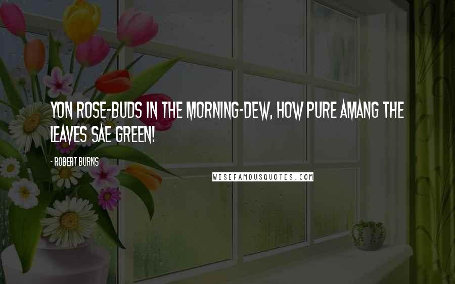 Robert Burns Quotes: Yon rose-buds in the morning-dew, How pure amang the leaves sae green!