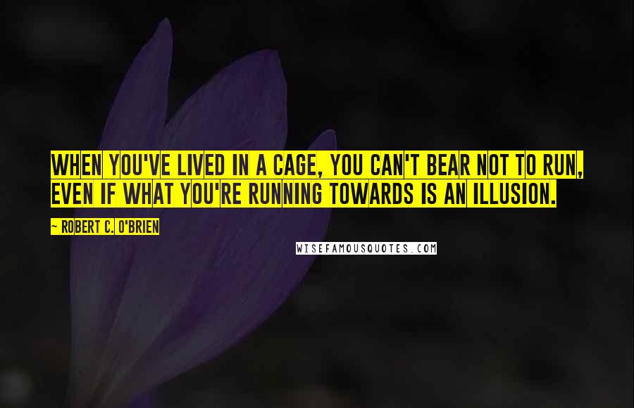 Robert C. O'Brien Quotes: When you've lived in a cage, you can't bear not to run, even if what you're running towards is an illusion.