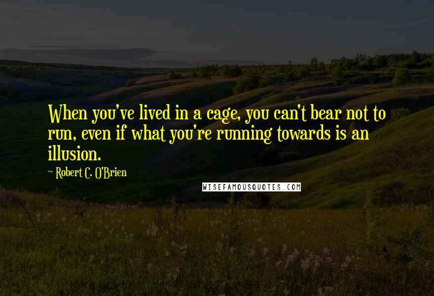 Robert C. O'Brien Quotes: When you've lived in a cage, you can't bear not to run, even if what you're running towards is an illusion.