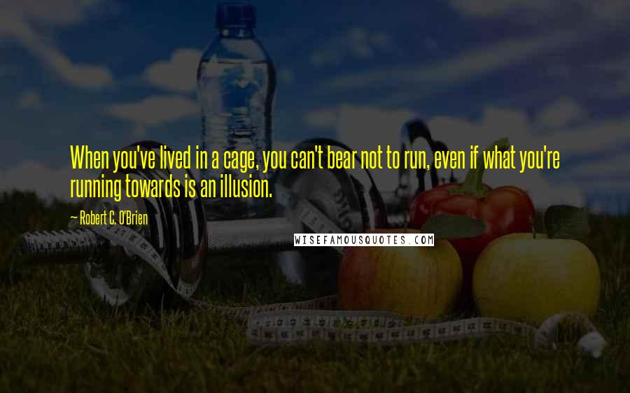 Robert C. O'Brien Quotes: When you've lived in a cage, you can't bear not to run, even if what you're running towards is an illusion.