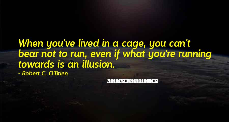 Robert C. O'Brien Quotes: When you've lived in a cage, you can't bear not to run, even if what you're running towards is an illusion.