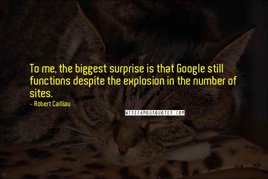 Robert Cailliau Quotes: To me, the biggest surprise is that Google still functions despite the explosion in the number of sites.