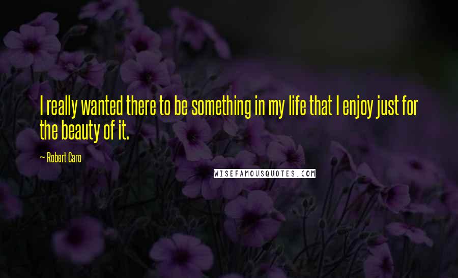 Robert Caro Quotes: I really wanted there to be something in my life that I enjoy just for the beauty of it.