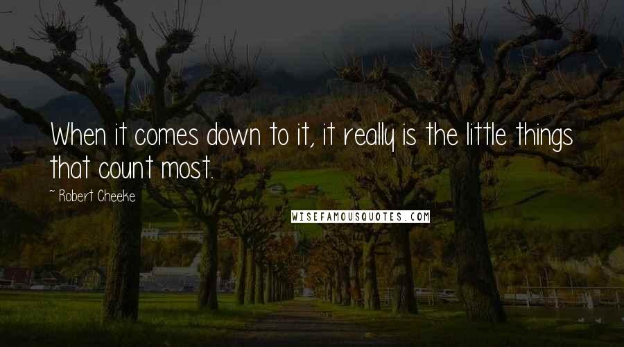 Robert Cheeke Quotes: When it comes down to it, it really is the little things that count most.