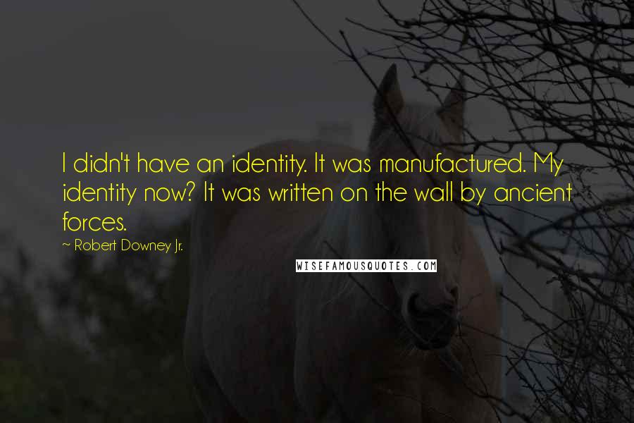 Robert Downey Jr. Quotes: I didn't have an identity. It was manufactured. My identity now? It was written on the wall by ancient forces.