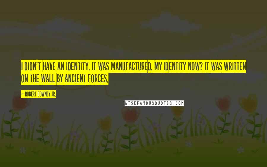 Robert Downey Jr. Quotes: I didn't have an identity. It was manufactured. My identity now? It was written on the wall by ancient forces.