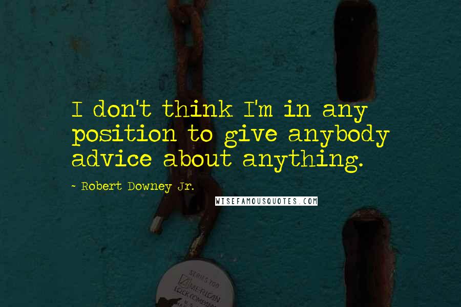 Robert Downey Jr. Quotes: I don't think I'm in any position to give anybody advice about anything.