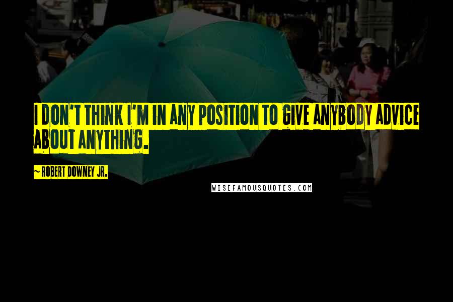 Robert Downey Jr. Quotes: I don't think I'm in any position to give anybody advice about anything.