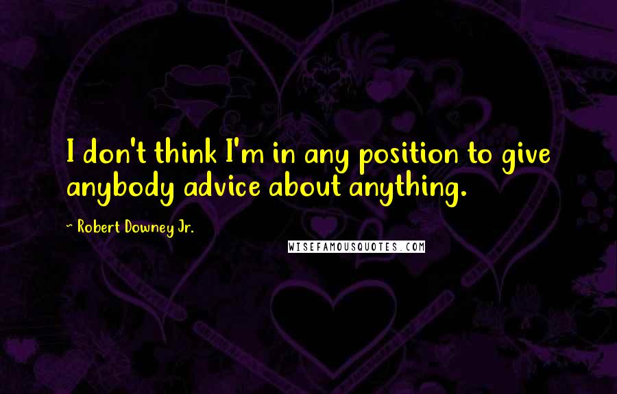 Robert Downey Jr. Quotes: I don't think I'm in any position to give anybody advice about anything.