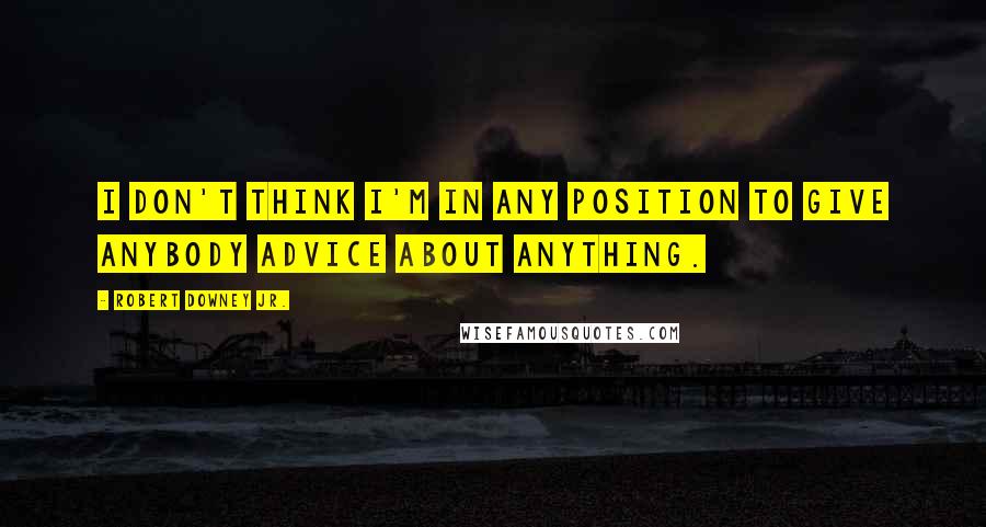 Robert Downey Jr. Quotes: I don't think I'm in any position to give anybody advice about anything.