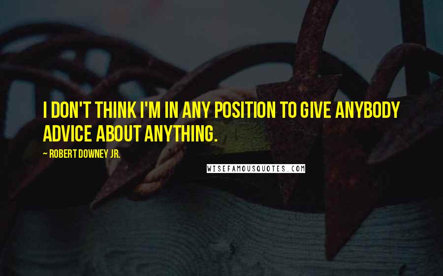 Robert Downey Jr. Quotes: I don't think I'm in any position to give anybody advice about anything.
