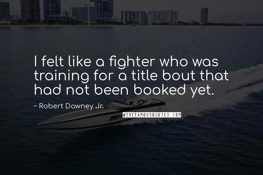 Robert Downey Jr. Quotes: I felt like a fighter who was training for a title bout that had not been booked yet.